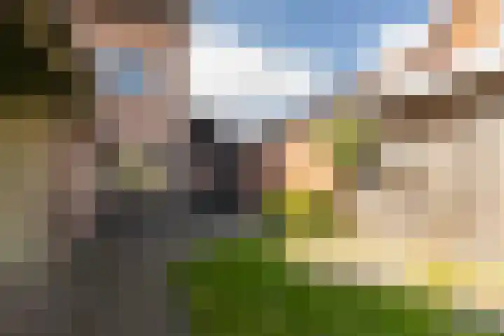 Jeroen Boschstraat 20 Deurne thumbnail 21