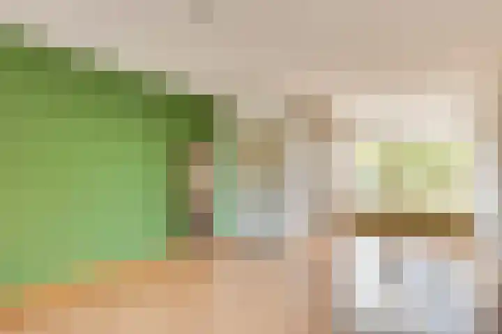 Jeroen Boschstraat 20 Deurne thumbnail 4