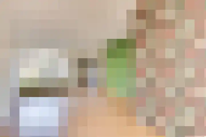 Jeroen Boschstraat 20 Deurne thumbnail 5