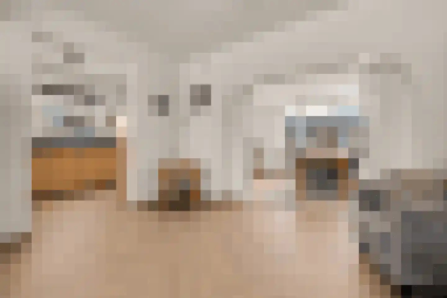 Jeroen Boschstraat 21 Bergen L thumbnail 11