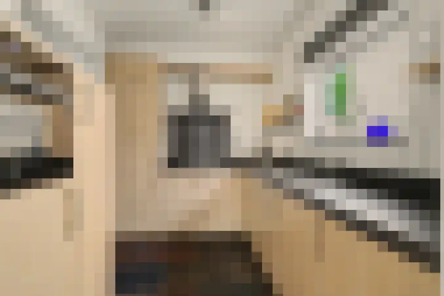 Jeroen Boschstraat 21 Bergen L thumbnail 13