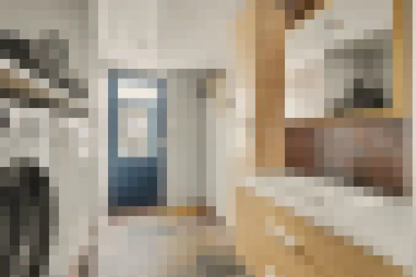 Jeroen Boschstraat 21 Bergen L thumbnail 14