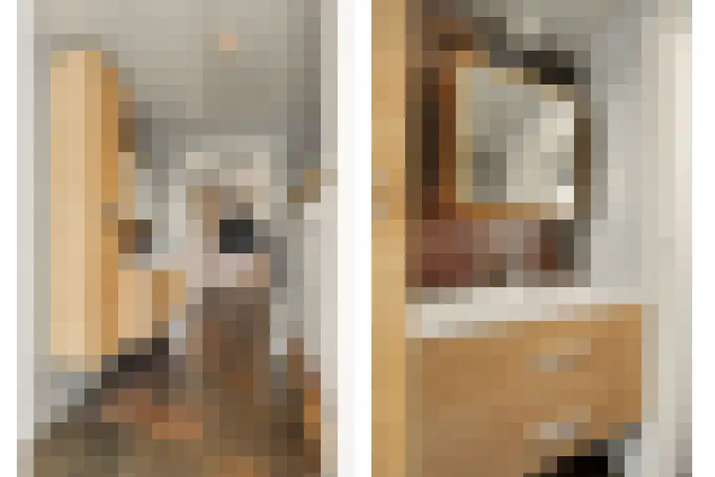 Jeroen Boschstraat 21 Bergen L thumbnail 15