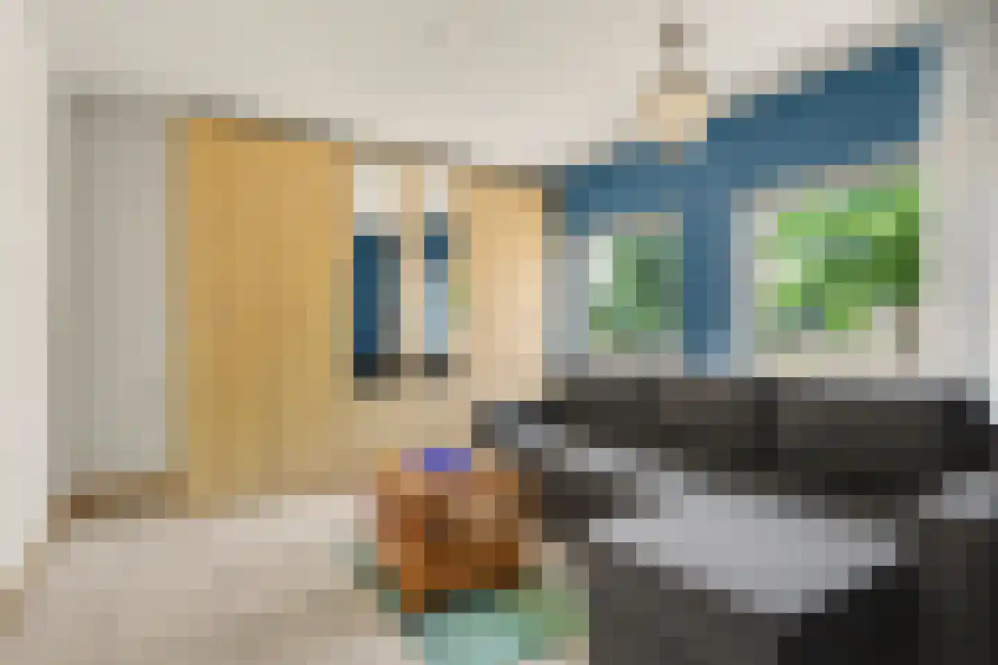 Jeroen Boschstraat 21 Bergen L thumbnail 17