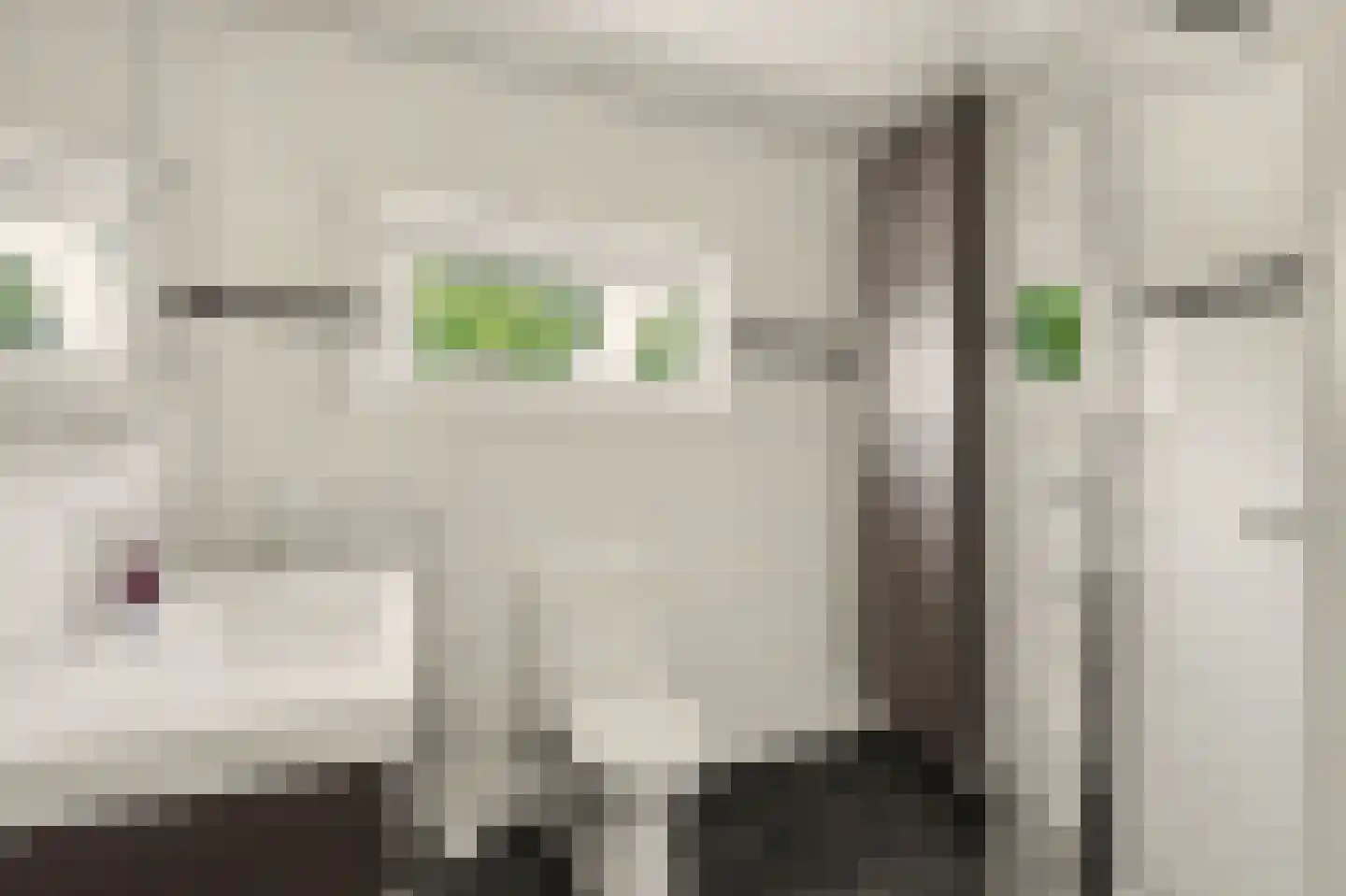 Jeroen Boschstraat 21 Bergen L thumbnail 18