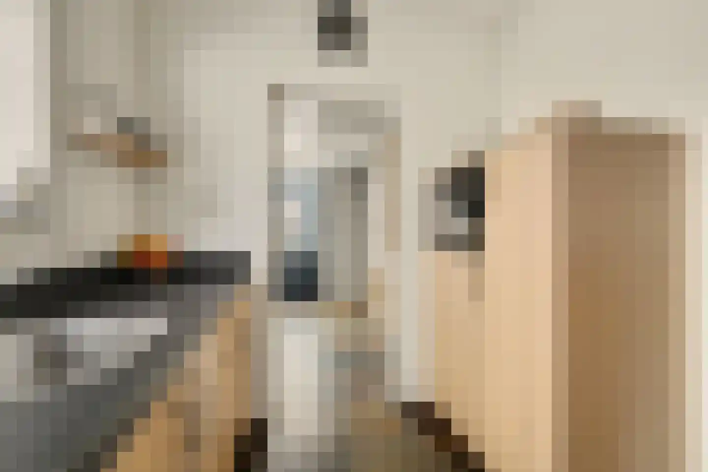 Jeroen Boschstraat 21 Bergen L thumbnail 19