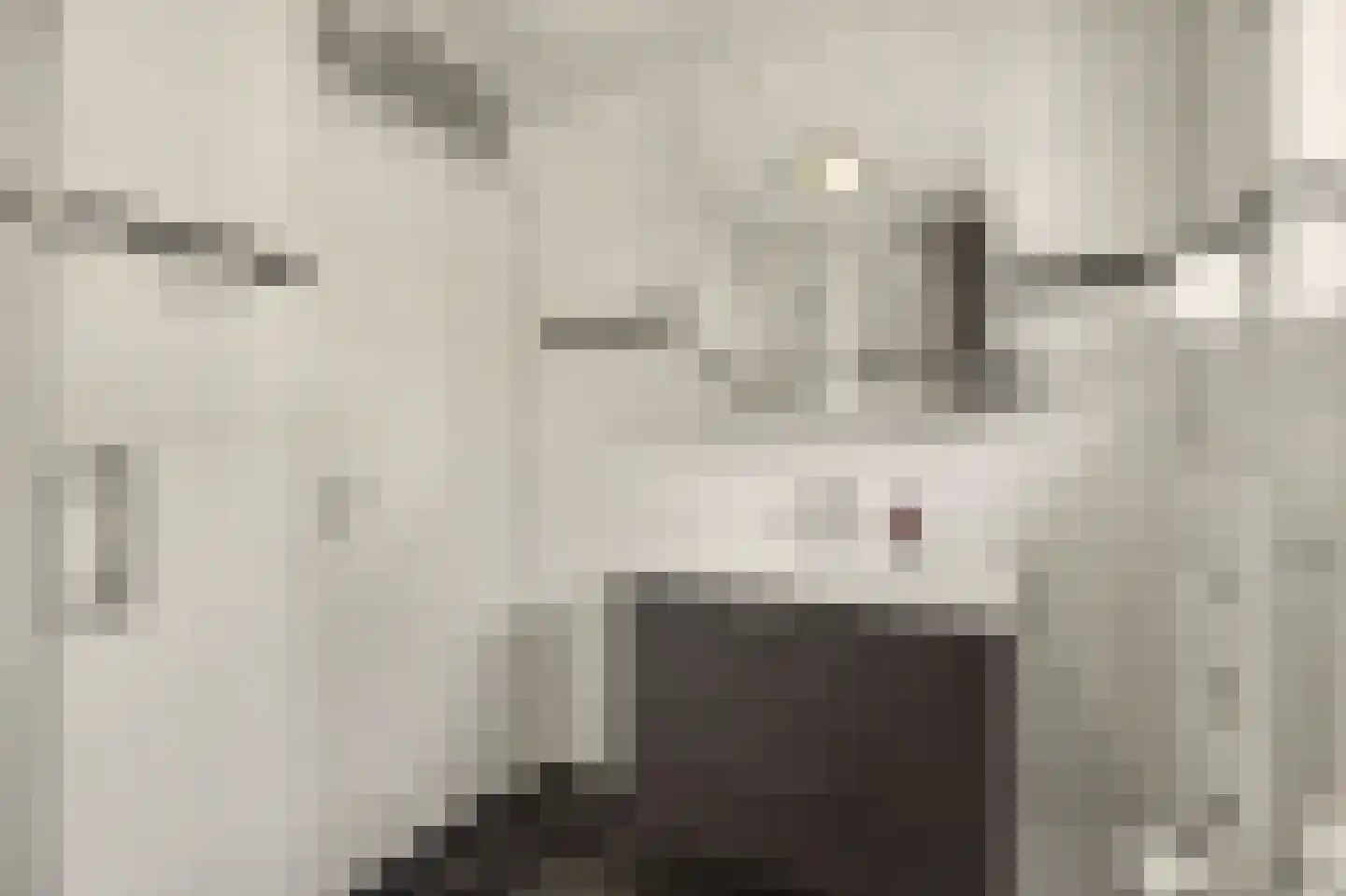 Jeroen Boschstraat 21 Bergen L thumbnail 20
