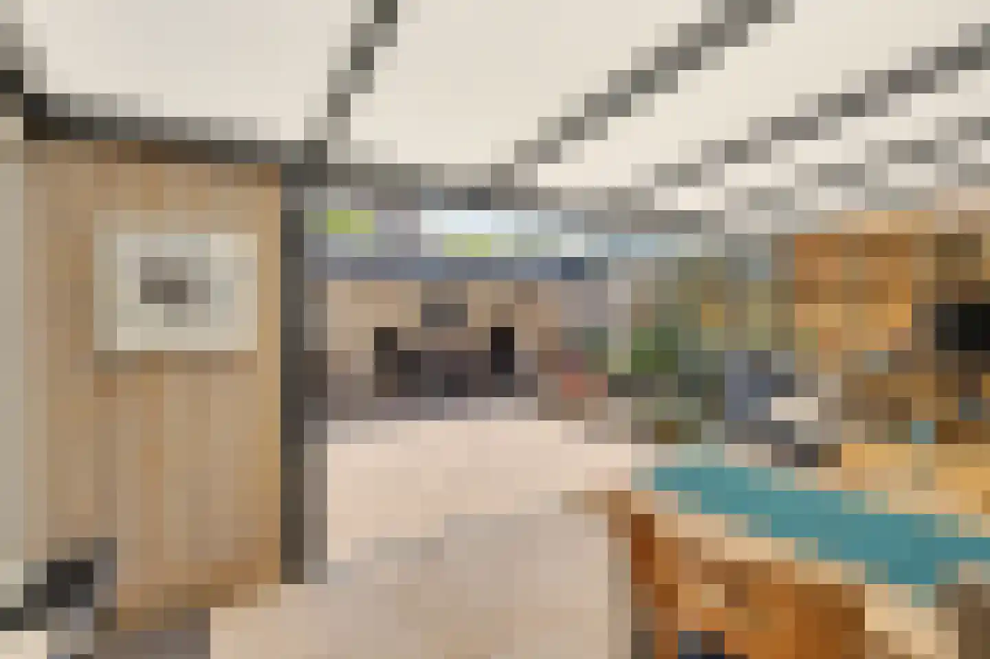 Jeroen Boschstraat 21 Bergen L thumbnail 22