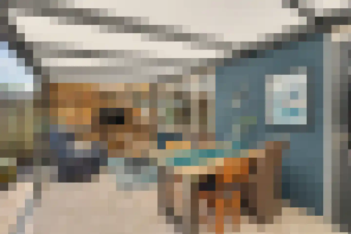Jeroen Boschstraat 21 Bergen L thumbnail 23