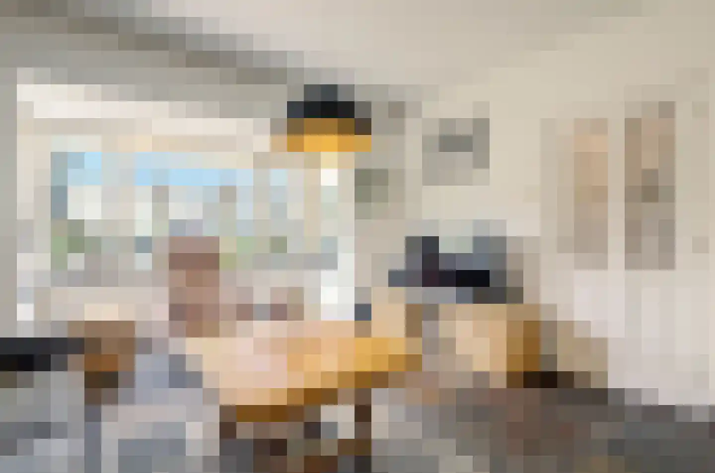 Jeroen Boschstraat 21 Bergen L thumbnail 4