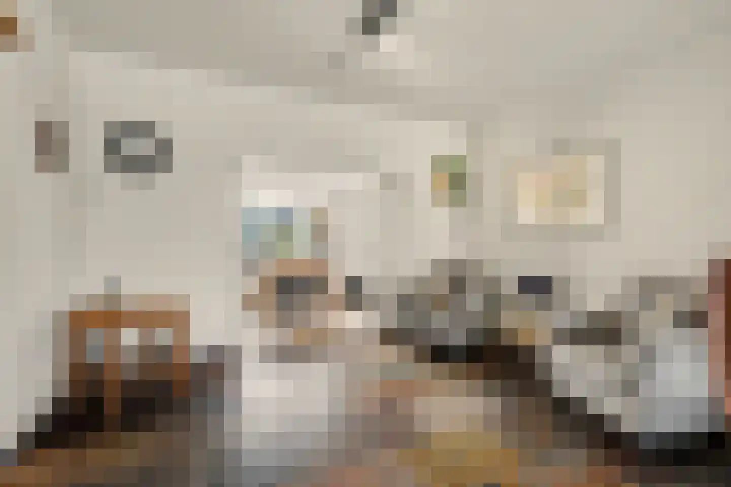 Jeroen Boschstraat 21 Bergen L thumbnail 6
