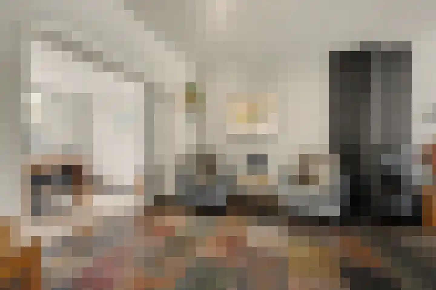 Jeroen Boschstraat 21 Bergen L thumbnail 8