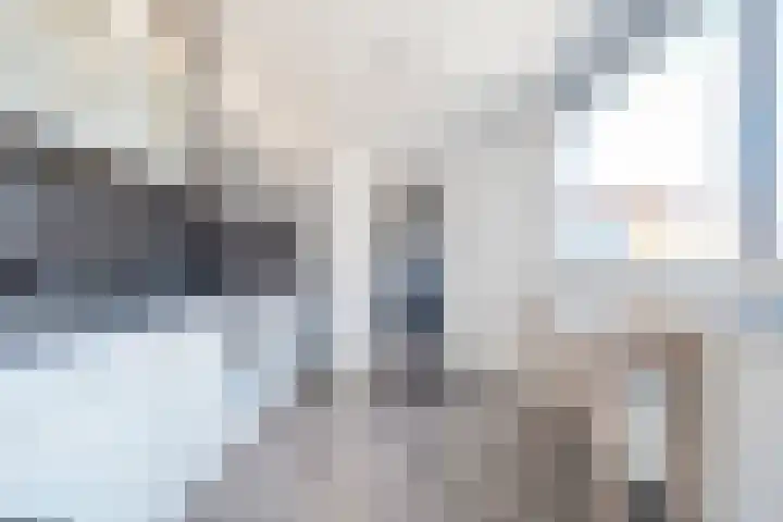 Jeroen Boschstraat 26 Coevorden thumbnail 11