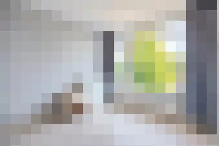 Jeroen Boschstraat 26 Coevorden thumbnail 18