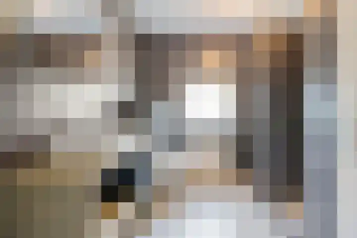 Jeroen Boschstraat 26 Coevorden thumbnail 23