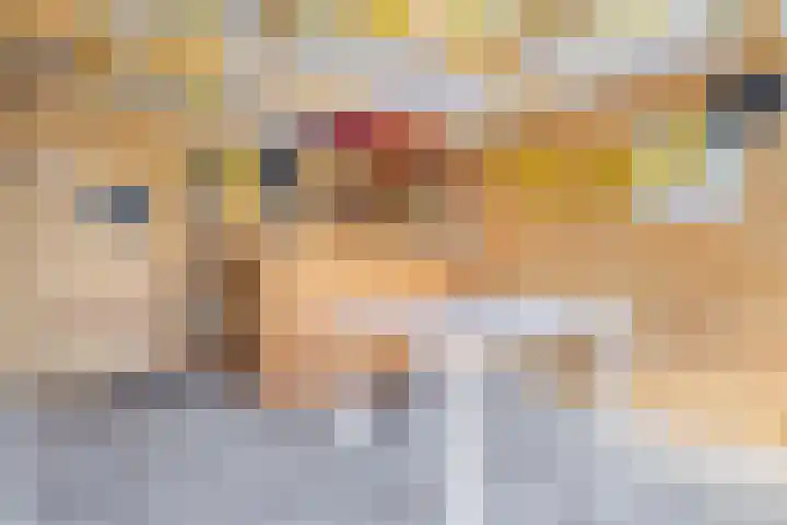 Jeroen Boschstraat 26 Coevorden thumbnail 25