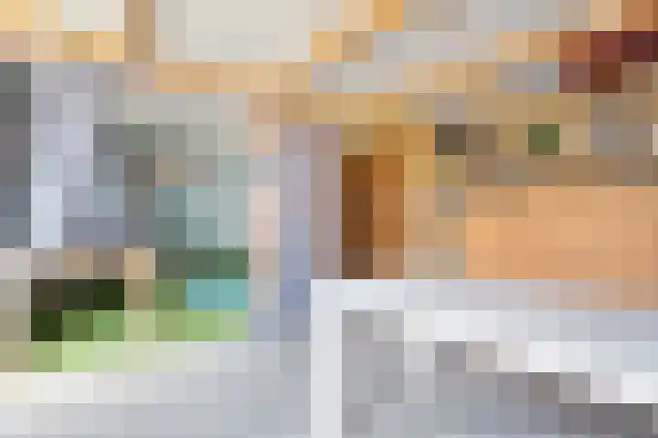 Jeroen Boschstraat 26 Coevorden thumbnail 26