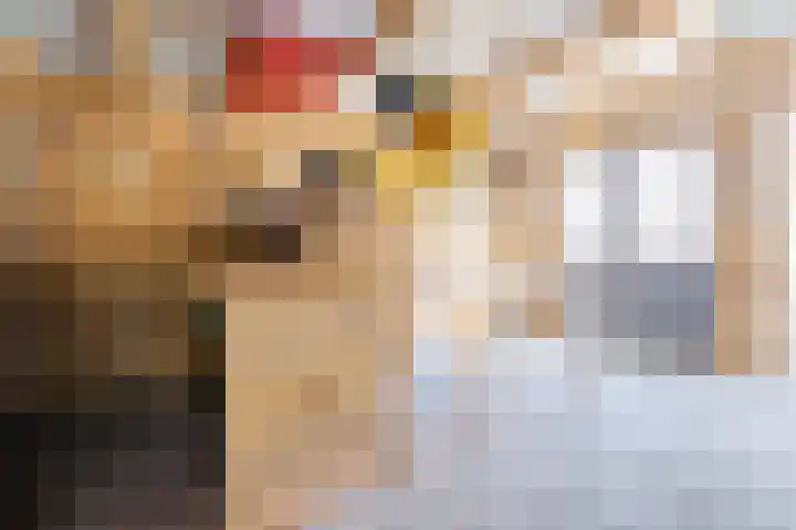 Jeroen Boschstraat 26 Coevorden thumbnail 27