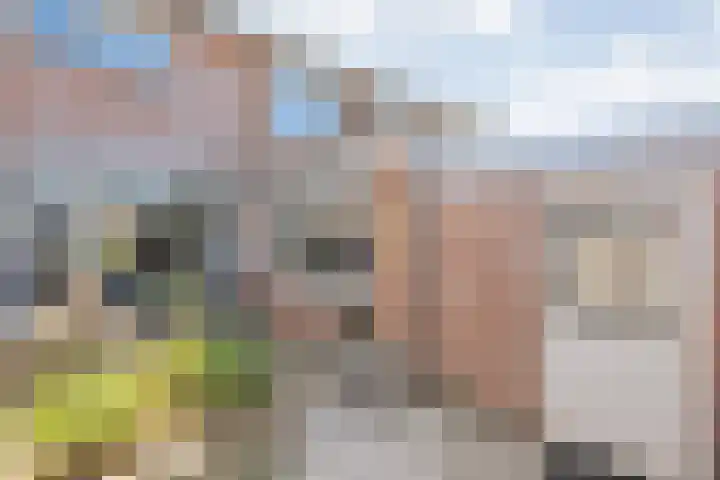 Jeroen Boschstraat 26 Coevorden thumbnail 29