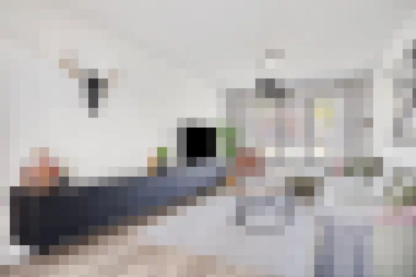 Jeroen Boschstraat 26 Helmond thumbnail 10