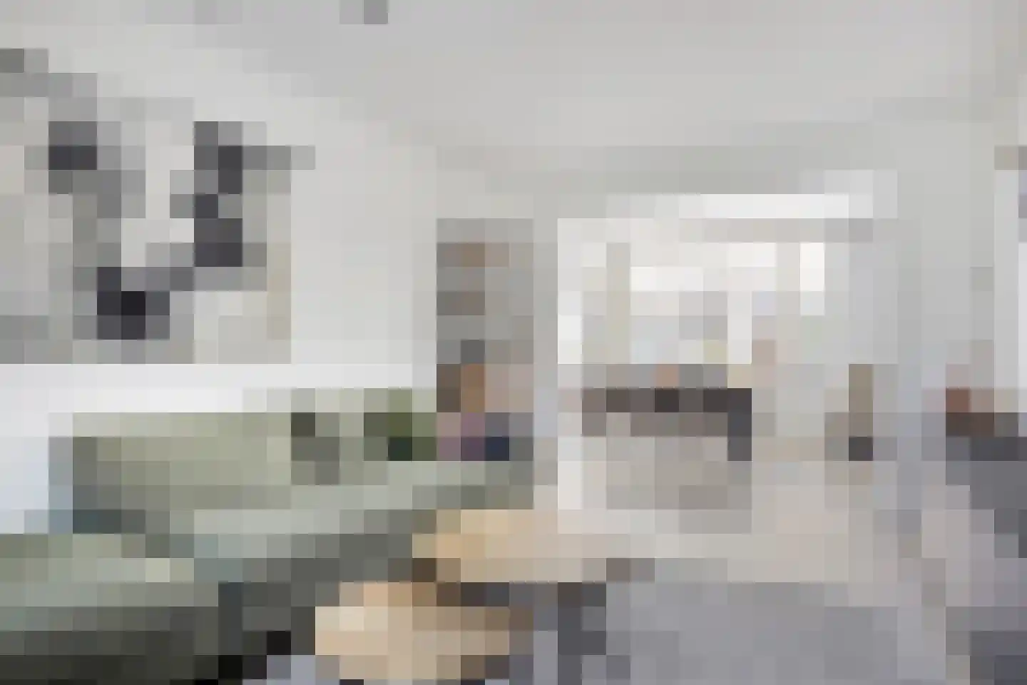 Jeroen Boschstraat 26 Helmond thumbnail 12