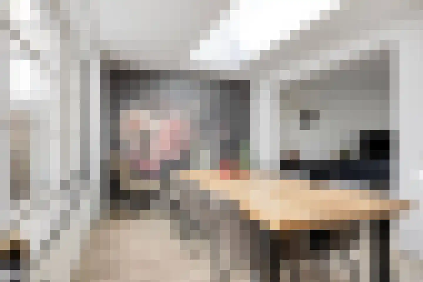 Jeroen Boschstraat 26 Helmond thumbnail 18