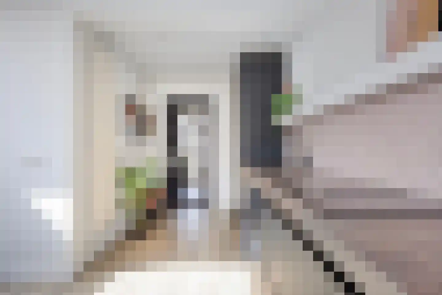 Jeroen Boschstraat 26 Helmond thumbnail 20