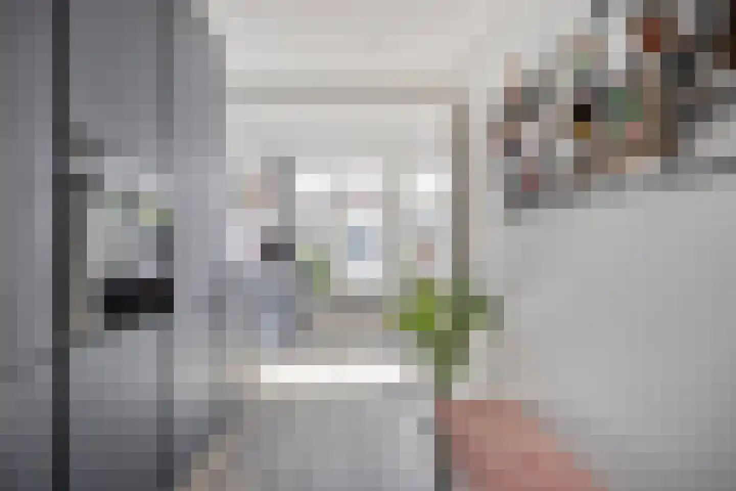 Jeroen Boschstraat 26 Helmond thumbnail 22