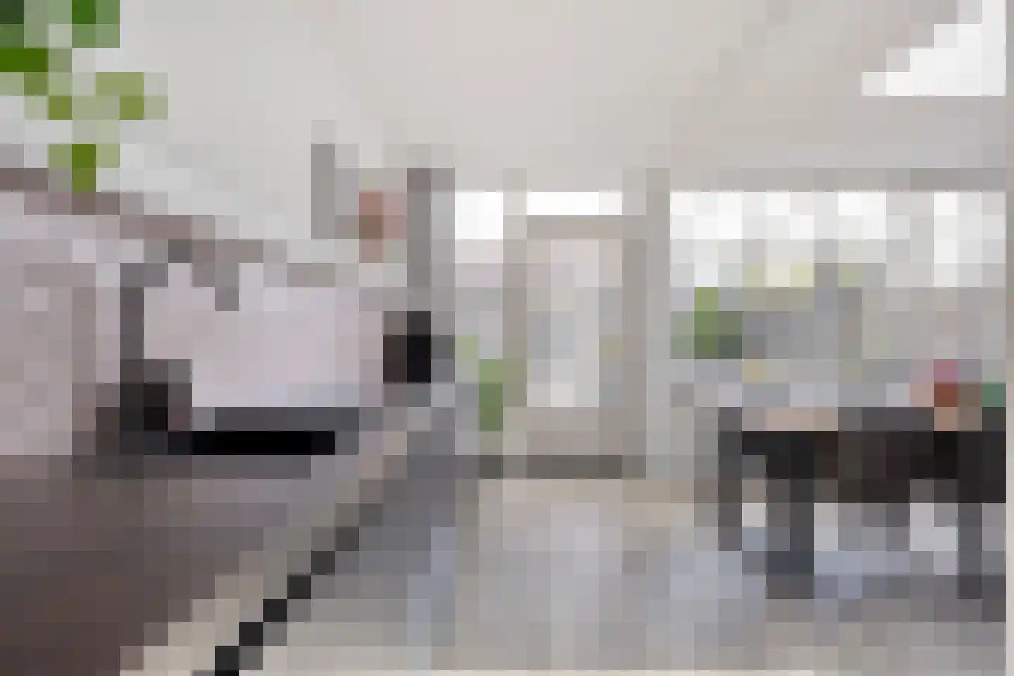 Jeroen Boschstraat 26 Helmond thumbnail 23