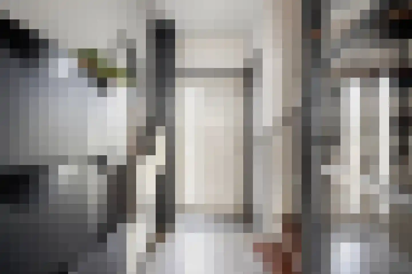Jeroen Boschstraat 26 Helmond thumbnail 7