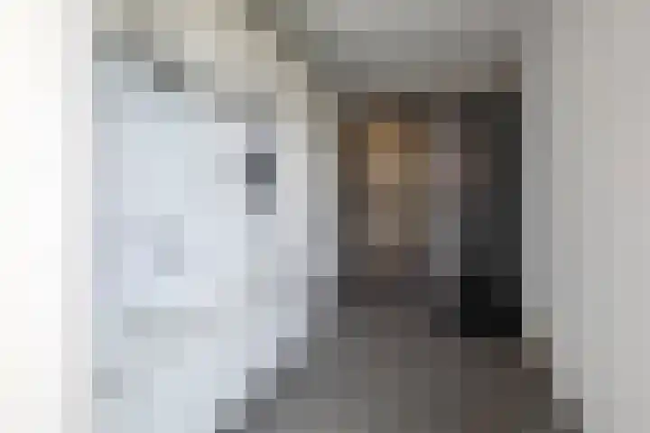 Jeroen Boschstraat 3 Bergen L thumbnail 16