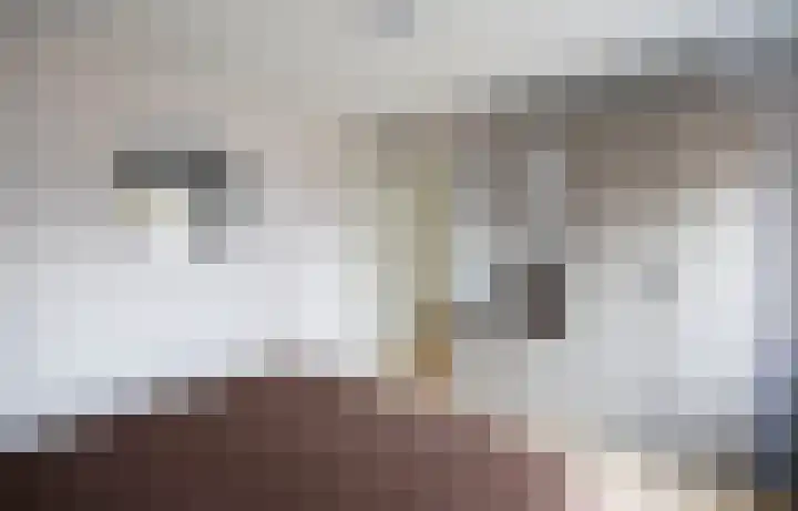 Jeroen Boschstraat 3 Bergen L thumbnail 21
