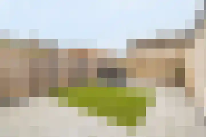 Jeroen Boschstraat 3 Bergen L thumbnail 28