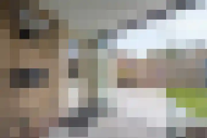 Jeroen Boschstraat 3 Bergen L thumbnail 29