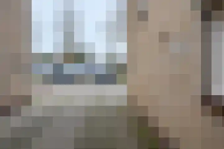Jeroen Boschstraat 3 Bergen L thumbnail 32