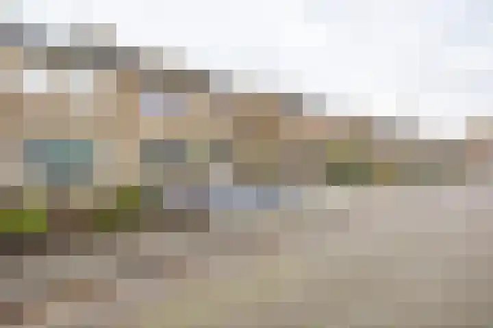 Jeroen Boschstraat 3 Bergen L thumbnail 33