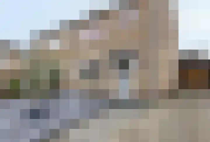 Jeroen Boschstraat 3 Bergen L thumbnail 36