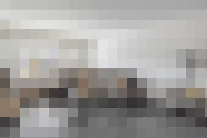Jeroen Boschstraat 3 Bergen L thumbnail 9