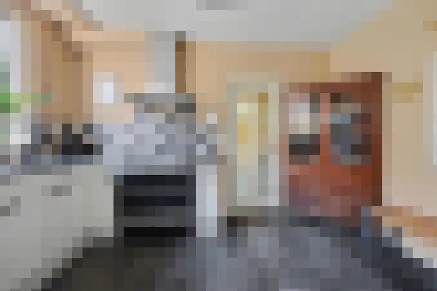 Jeroen Boschstraat 3 Zelhem thumbnail 10