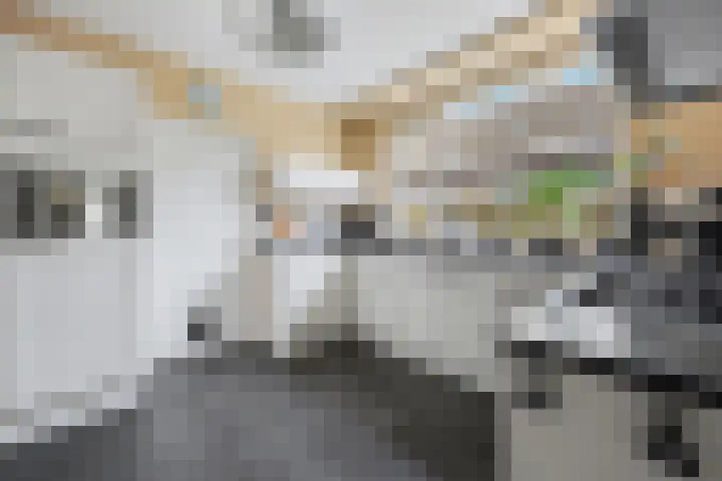 Jeroen Boschstraat 3 Zelhem thumbnail 12