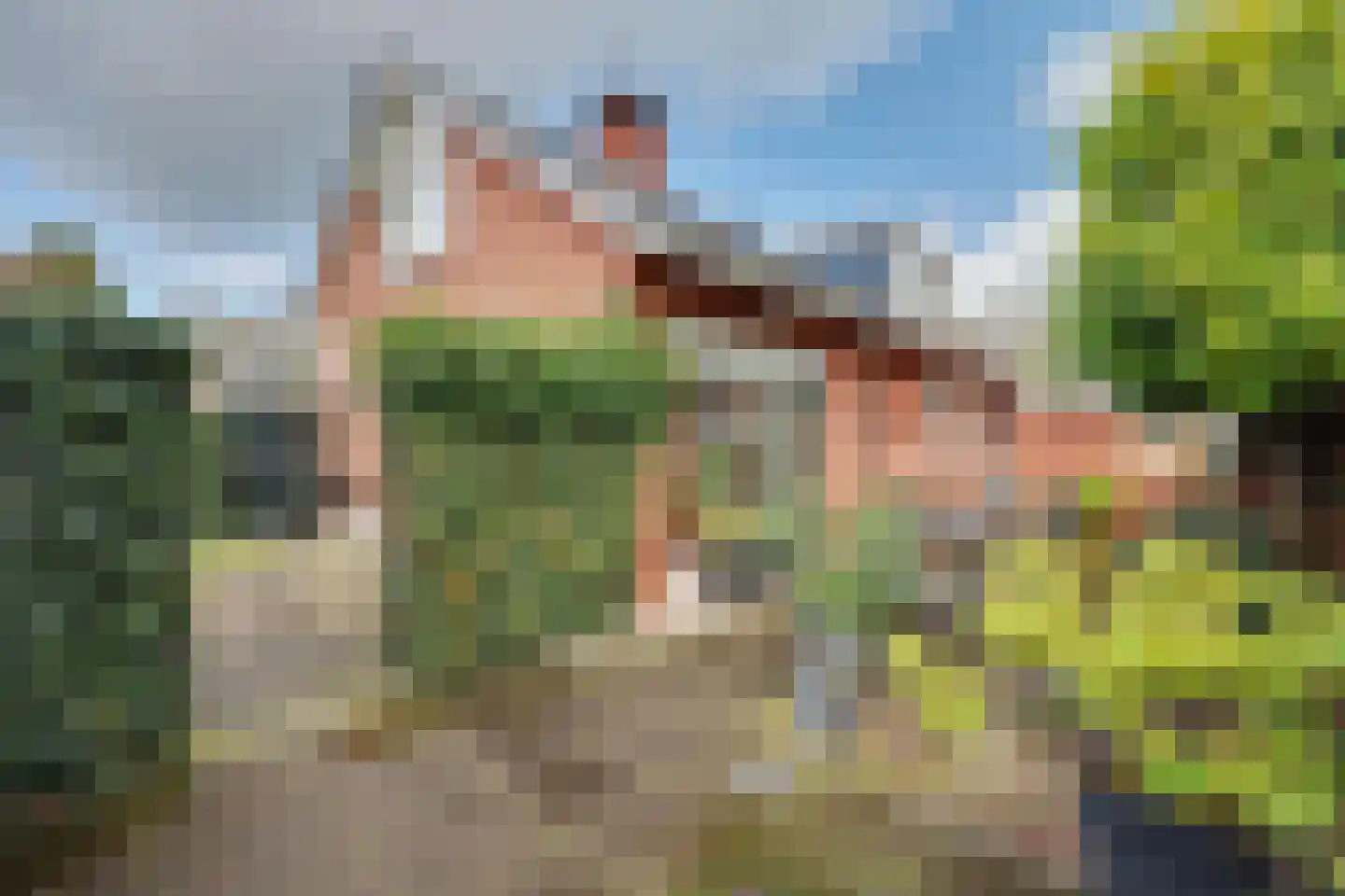 Jeroen Boschstraat 3 Zelhem thumbnail 15