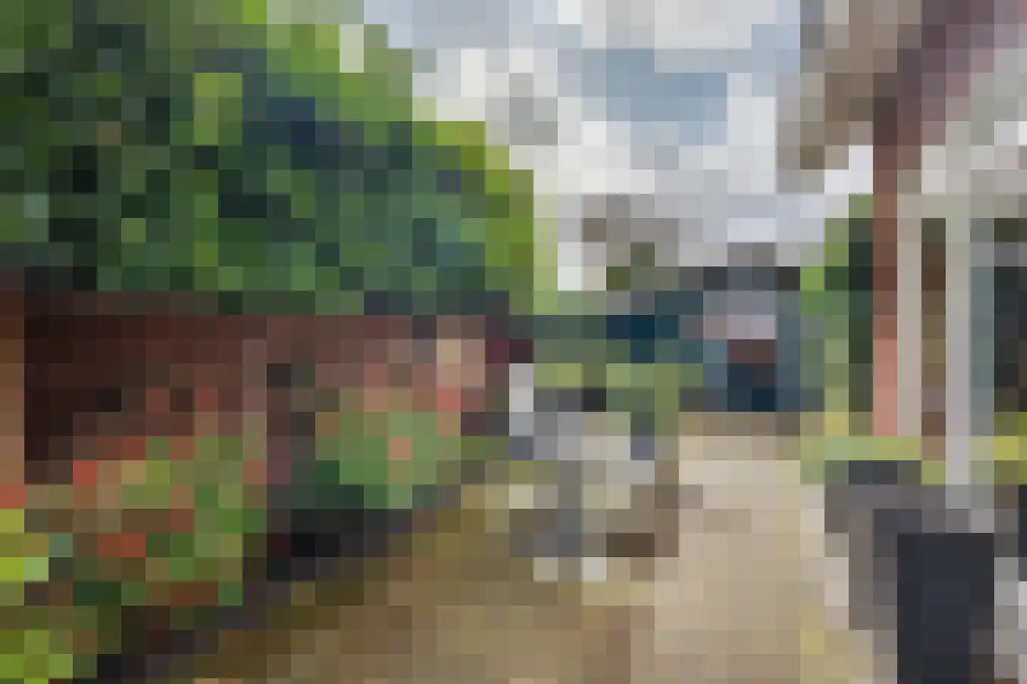 Jeroen Boschstraat 3 Zelhem thumbnail 17