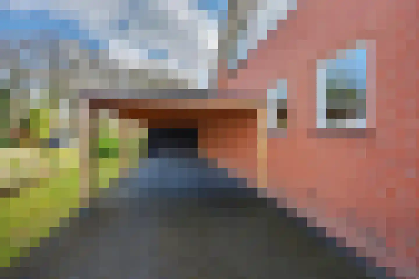 Jeroen Boschstraat 3 Zelhem thumbnail 19