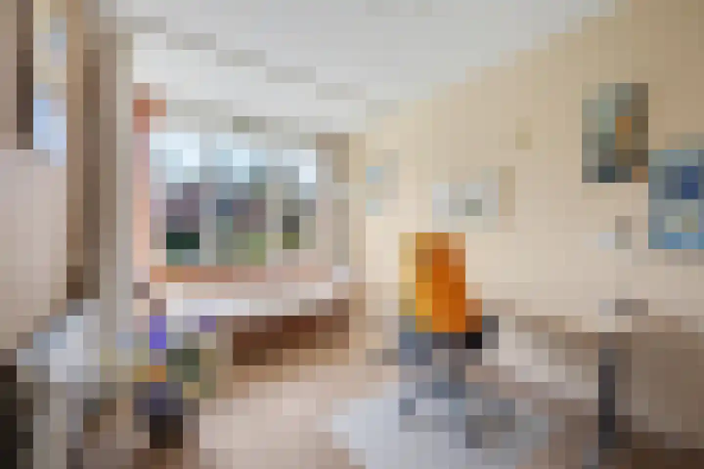 Jeroen Boschstraat 3 Zelhem thumbnail 20