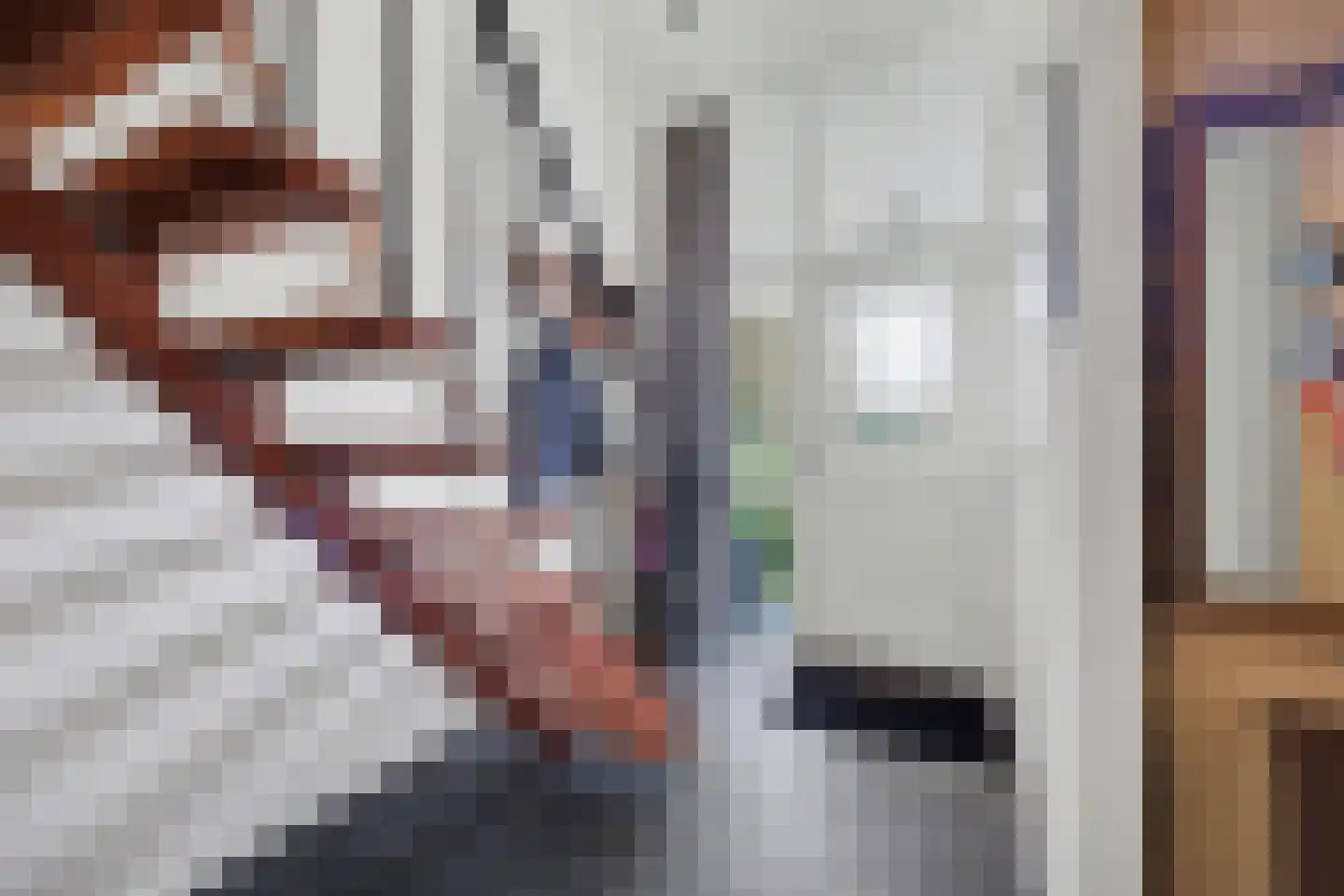 Jeroen Boschstraat 3 Zelhem thumbnail 23