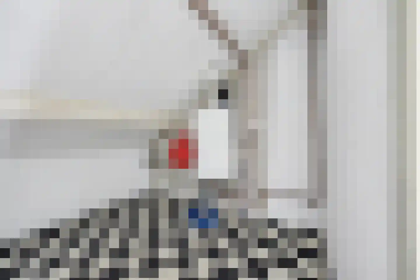 Jeroen Boschstraat 3 Zelhem thumbnail 39