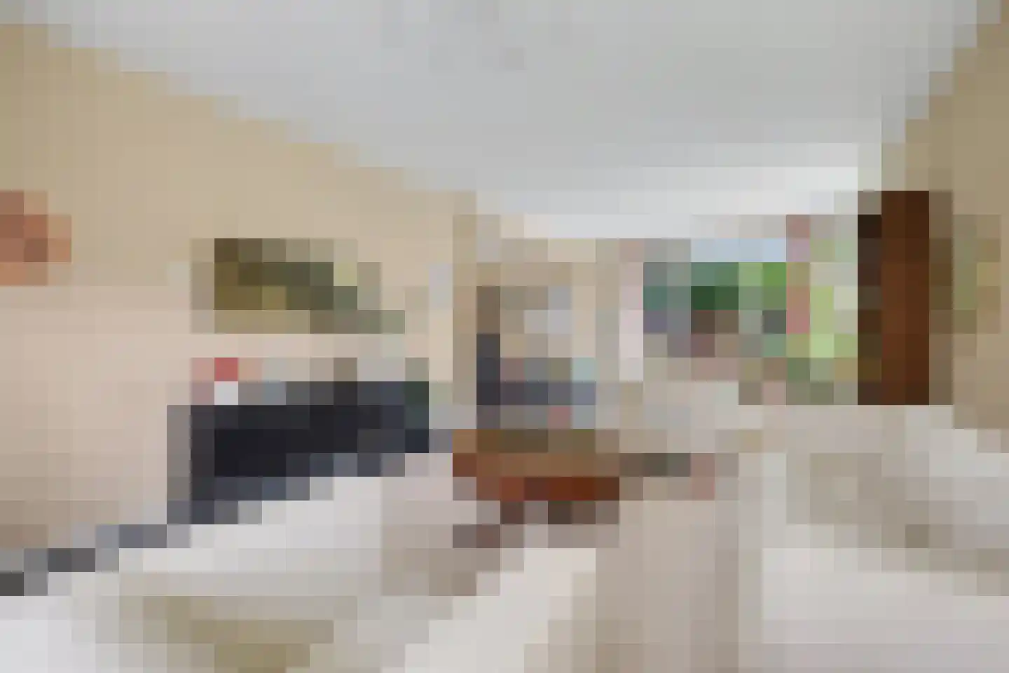Jeroen Boschstraat 3 Zelhem thumbnail 4
