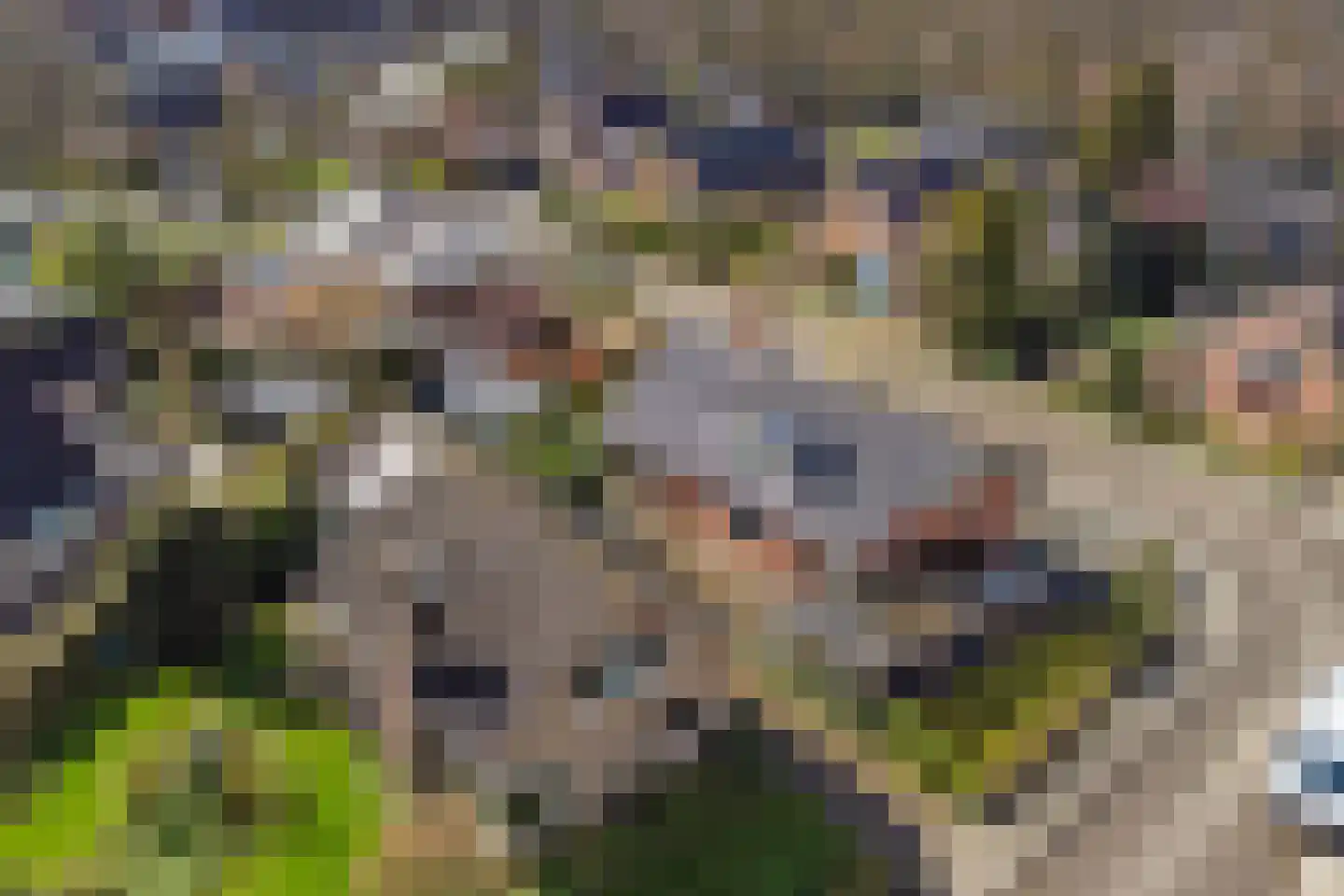 Jeroen Boschstraat 3 Zelhem thumbnail 51