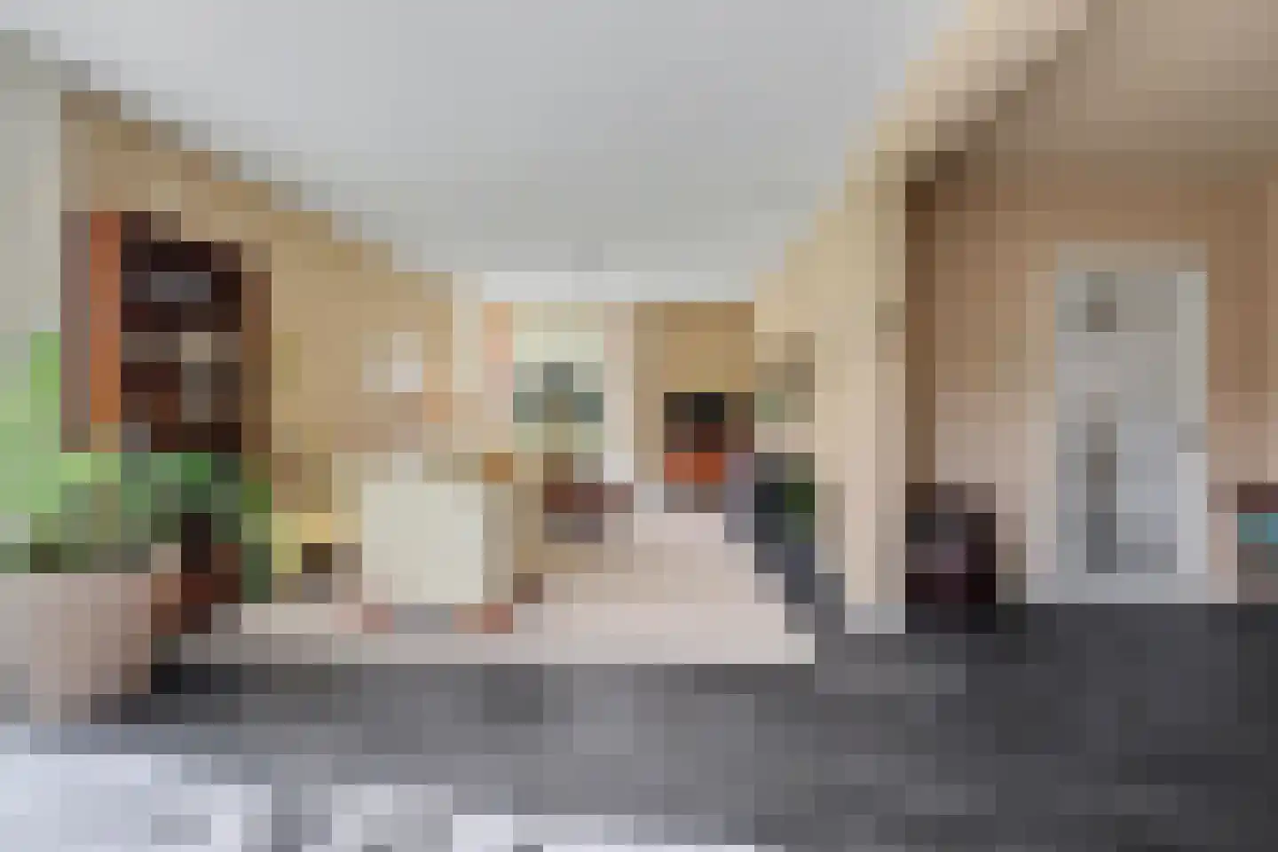 Jeroen Boschstraat 3 Zelhem thumbnail 6