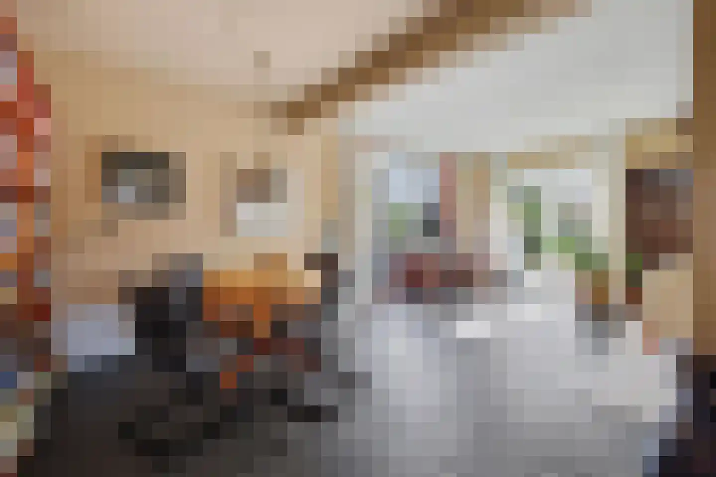 Jeroen Boschstraat 3 Zelhem thumbnail 8